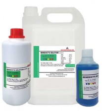 BENEDICT’S SOLUTION  NAP