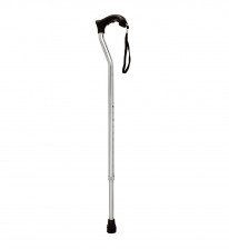 SINGLE LEG WALKINIG STICK (SILVER) EL- 811S