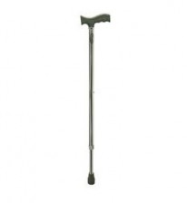 Walking stick-Karma 121