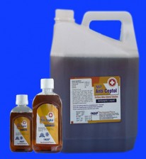 ANTICEPTOL Dichloro Meta Xylenol 2.00% NAP